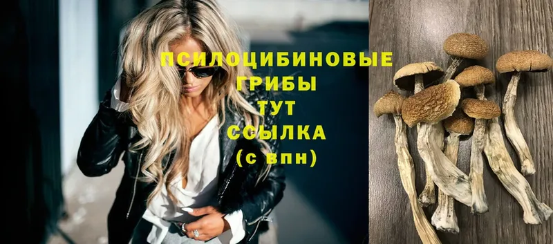 Купить наркотики сайты Дудинка Марихуана  Меф мяу мяу  COCAIN  ГАШИШ 